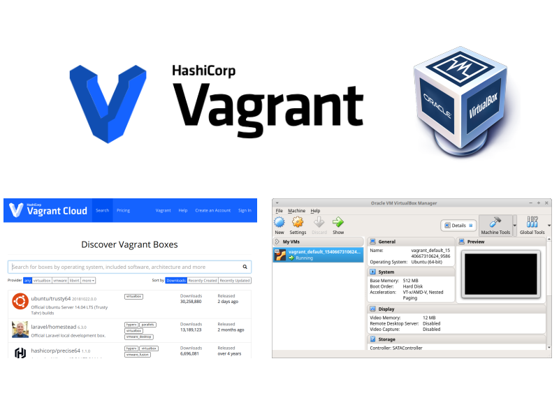 Vagrant